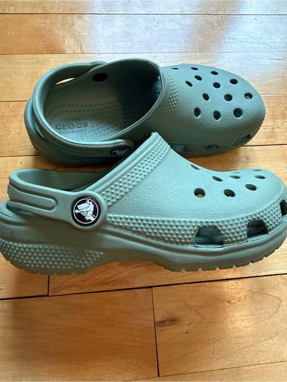 Kids Crocs-Style Clogs in Sage Green